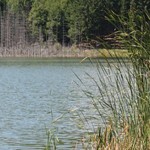 Romanian Tourism - Lake Cuiejdel