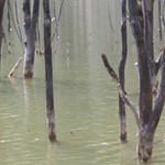 Romanian Tourism - Lake Cuiejdel