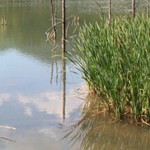 Romanian Tourism - Lake Cuiejdel