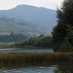 Romanian Tourism - Lake Pangarati