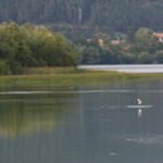 Romanian Tourism - Lake Pangarati