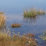 Romanian Tourism - Lake Vaduri