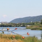 Romanian Tourism - Lake Vaduri