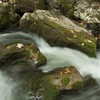 Autumn pastel in Bicaz Gorge 2013