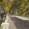 Autumn pastel in Bicaz Gorge 2013