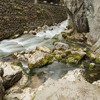 Autumn pastel in Bicaz Gorge 2013