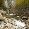 Autumn pastel in Bicaz Gorge 2013