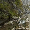 Autumn pastel in Bicaz Gorge 2013