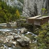 Autumn pastel in Bicaz Gorge 2013