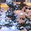 Winter at Piatra Neamt
