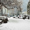 Piatra-Neamt the first snow 2011