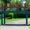 Piatra Neamt Swimming Pool 2011