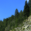Hiking in Tarcau-Brates Area Batca Rachitei Peak