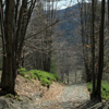 Hiking in Tarcau-Brates Area Batca Rachitei Peak