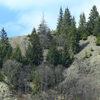 Hiking in Tarcau-Brates Area Batca Rachitei Peak