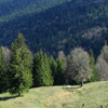 Hiking in Tarcau-Brates Area Batca Rachitei Peak