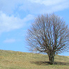 Hiking in Tarcau-Brates Area Batca Rachitei Peak