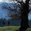 Hiking in Tarcau-Brates Area Batca Rachitei Peak