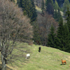 Hiking in Tarcau-Brates Area Batca Rachitei Peak