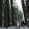 Trekking Route to Cernegura Hill - Piatra Neamt