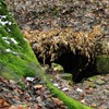 Trekking Route to Cernegura Hill - Piatra Neamt