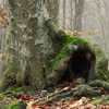 Trekking Route to Cernegura Hill - Piatra Neamt