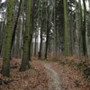 Trekking Route to Cernegura Hill - Piatra Neamt