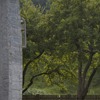 Tarcau Monastery - Neamt County