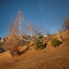 Autumn at Izvorul Muntelui 2012