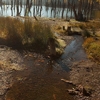 Autumn at Cuejdel Lake 2012