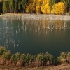 Autumn at Cuejdel Lake 2012