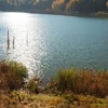 Autumn at Cuejdel Lake 2012