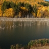 Autumn at Cuejdel Lake 2012