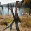 Autumn at Cuejdel Lake 2012