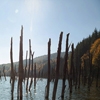 Autumn at Cuejdel Lake 2012