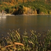 Autumn at Cuejdel Lake 2012