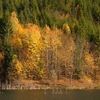 Autumn at Cuejdel Lake 2012