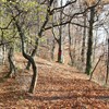 Late autumn on Cozla Mountain 2013