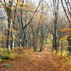 Late autumn on Cozla Mountain 2013