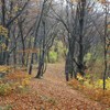 Late autumn on Cozla Mountain 2013