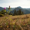 Autumn in Bicajel Valley 2012