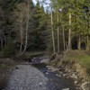 Routes in Vanatori Natural Park