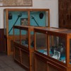 Vanatori commune museum