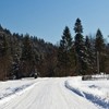 Winter images Tarcau 2012
