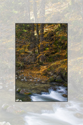 Autumn Sceneries in Cheile Bicazului