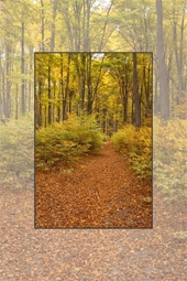 Autumn on Cozla Mountain