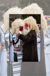 Steaua sus Rasare Festival 2011