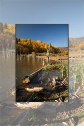 Autumn at Cuejdel Lake 2012